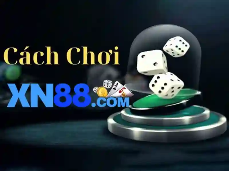 Giao diện và trải nghiệm người dùng