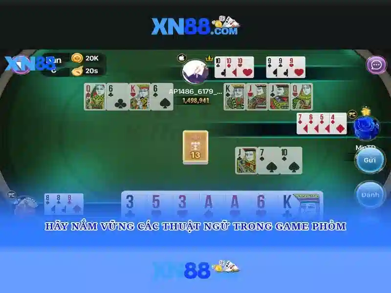 Trải nghiệm người dùng và phản hồi cộng đồng