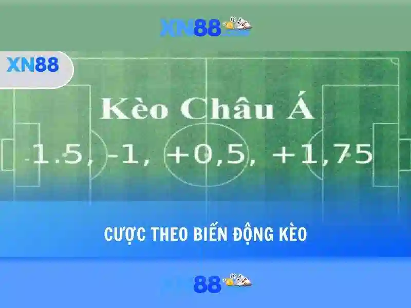 Đội ngũ và An toàn\n<h>Kết luận và triển vọng</h>\n<p><span style=