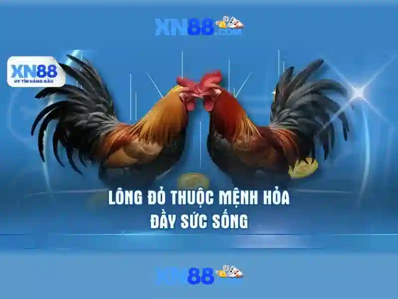 Hỗ trợ khách hàng và FAQ