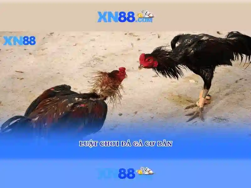 Việt Vị Trong Bóng Đá
