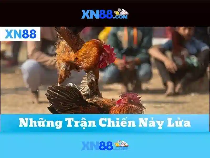 Việt Vị Trong Bóng Đá