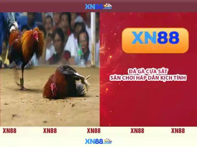 An toàn và bảo mật\n\n<h4>Thanh toán và hỗ trợ người chơi</h4>\n<p><span style=