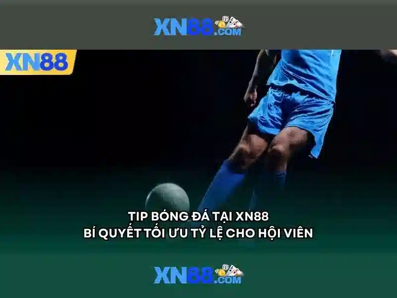 Kết luận và tương lai của XN88