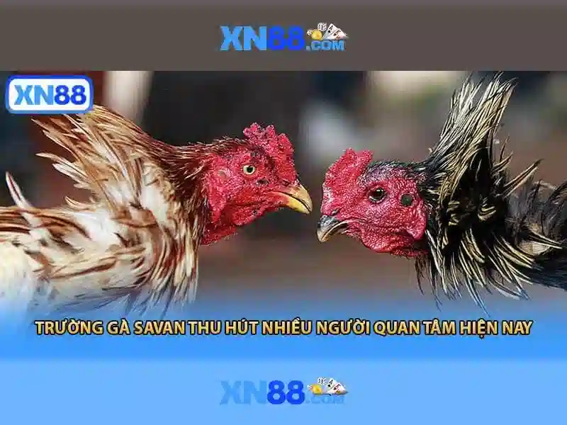 Các sản phẩm và dịch vụ cốt lõi của xn88 còn