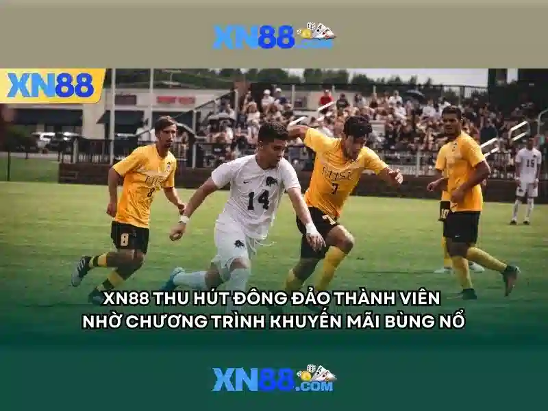 Tính năng nổi bật