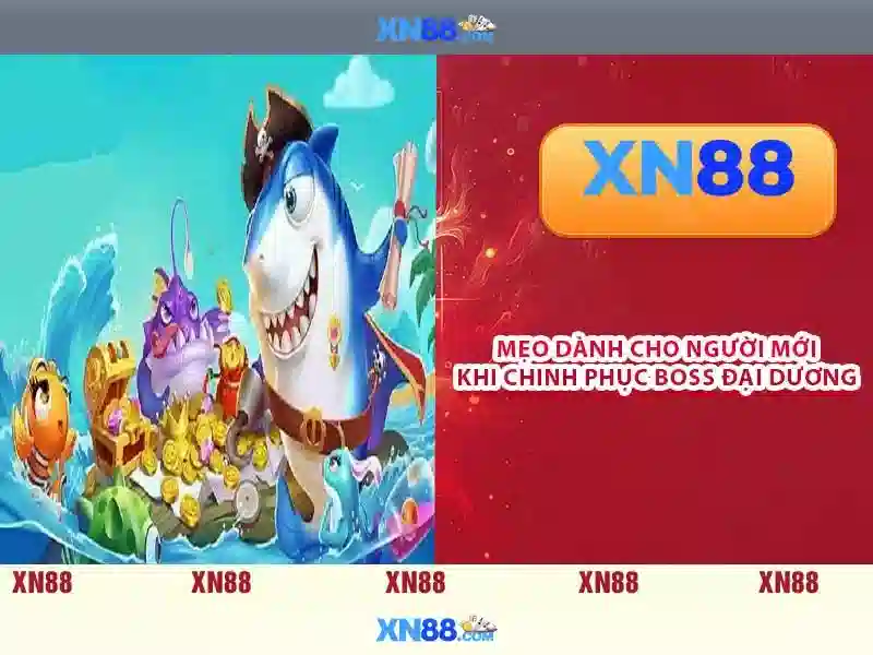 Hỗ trợ người dùng và hệ thống chăm sóc khách hàng