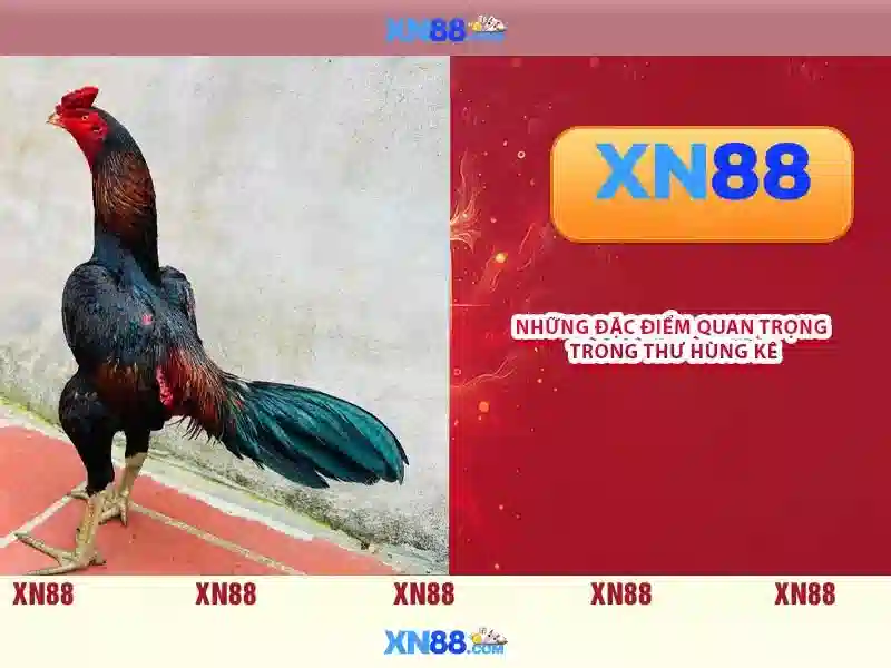 Chương trình khuyến mãi và chăm sóc khách hàng