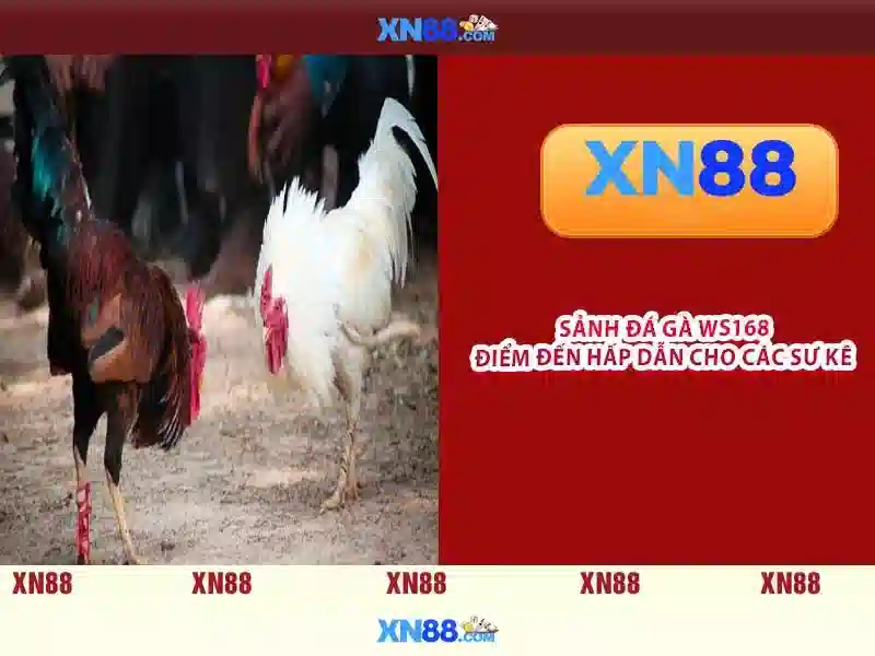 Việt Vị Trong Bóng Đá