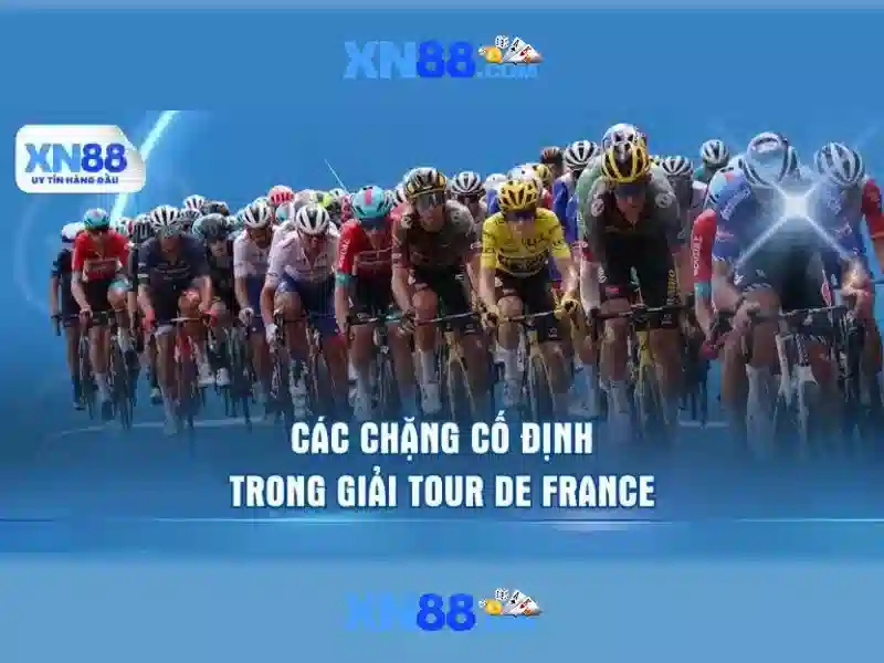 Xn88 là gì?