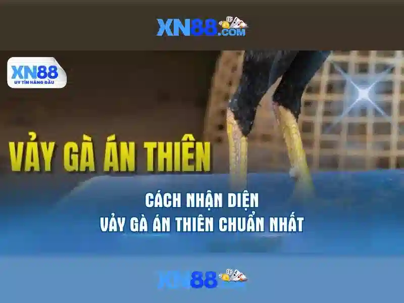 Việt Vị Trong Bóng Đá