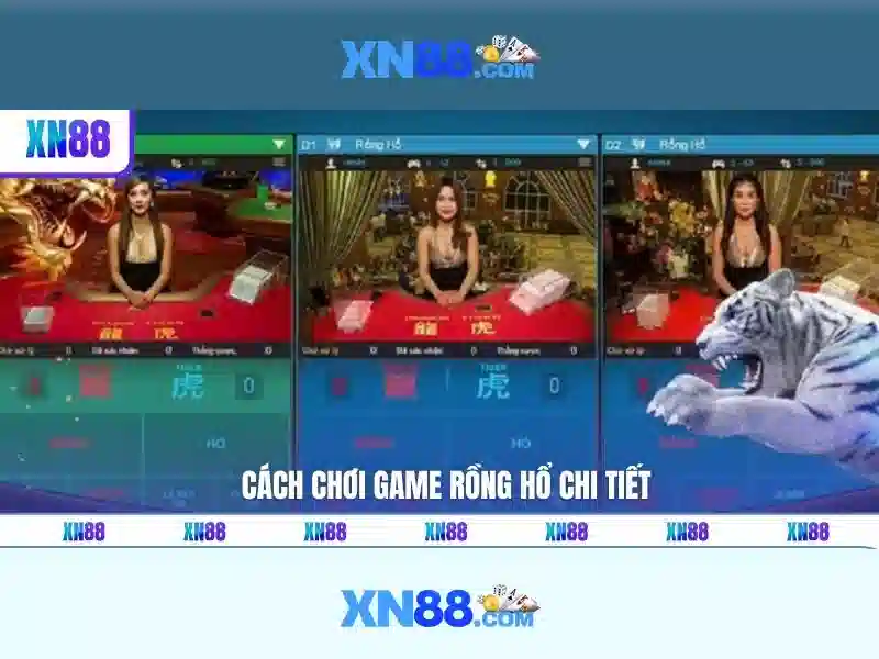 Hướng dẫn nhanh cho người mới của xn88