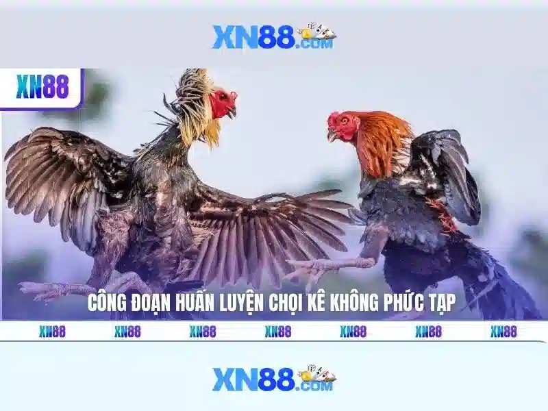 Việt Vị Trong Bóng Đá