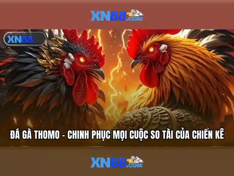 Việt Vị Trong Bóng Đá