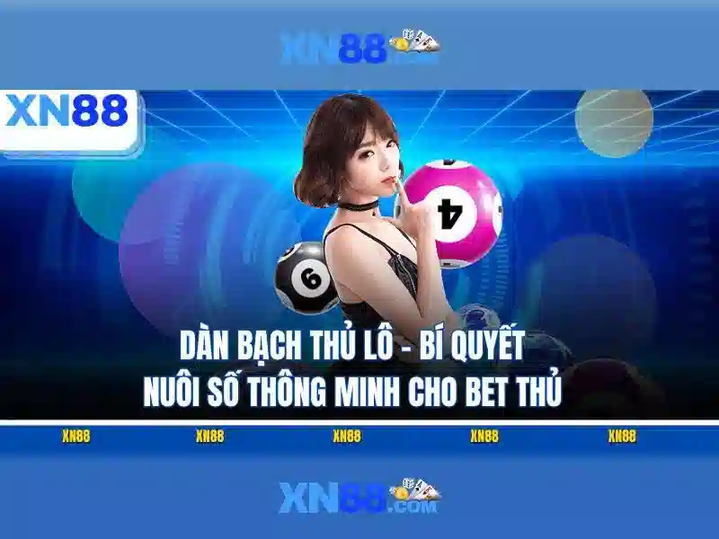 Đặc điểm nổi bật\n\n<h>Ứng dụng và thị trường</h>\n<p><span style=