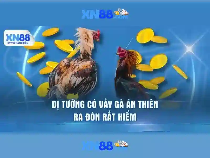 Tổng quan xn88 dang nhap