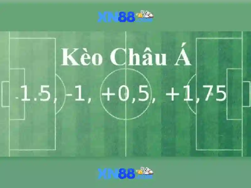 Tổng quan về xn88