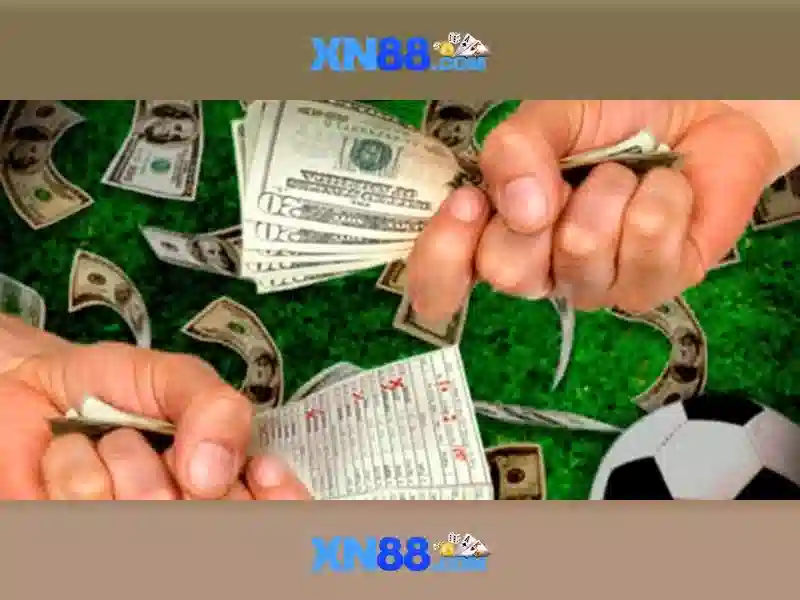 Trải nghiệm người dùng và phản hồi của cộng đồng