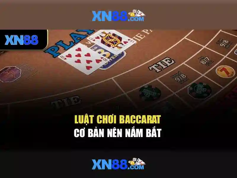 Nền tảng và trò chơi nổi bật