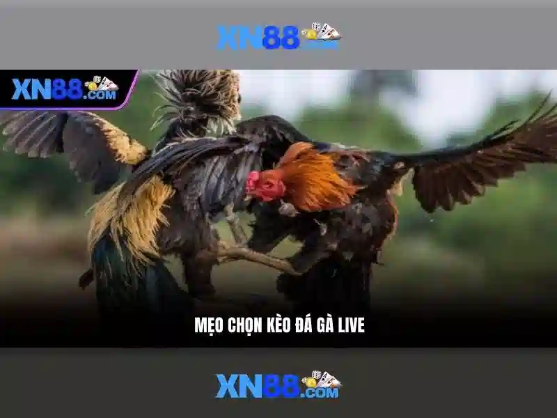 Thanh toán và bảo mật\n\n<h2 class=