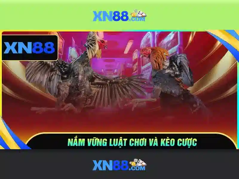 Hướng dẫn tham gia và nạp tiền