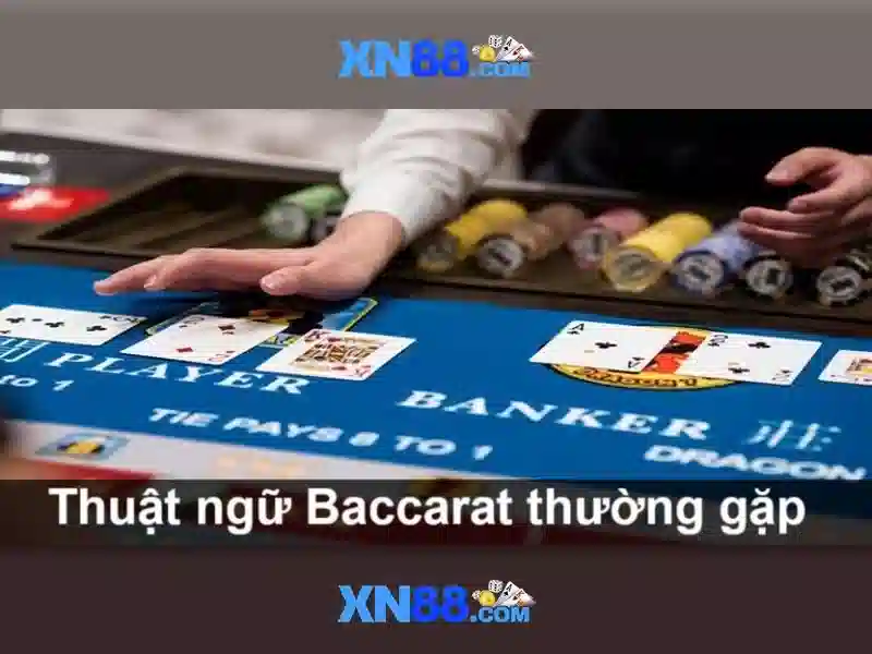 Tổng quan về xn88