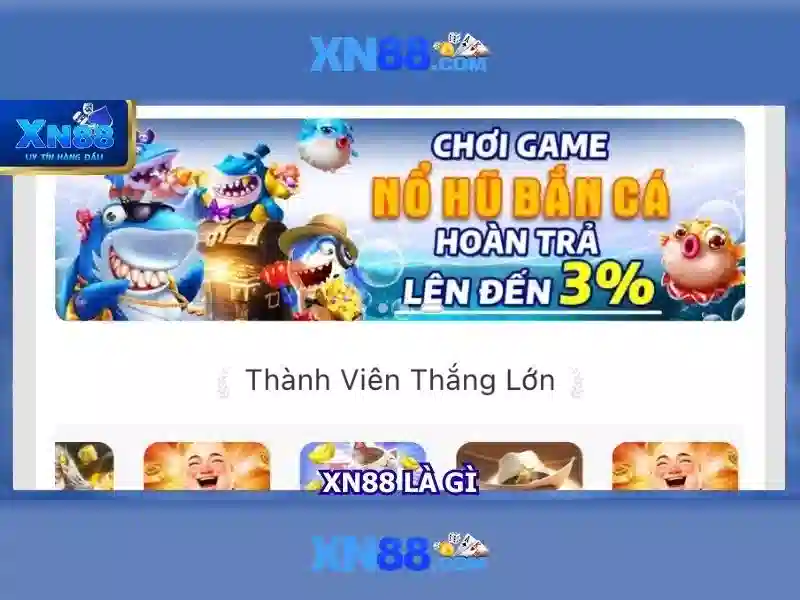 Trải nghiệm người dùng và phản hồi từ cộng đồng