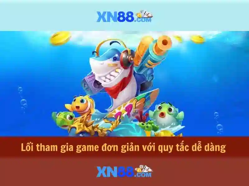 Phản hồi người dùng và cộng đồng