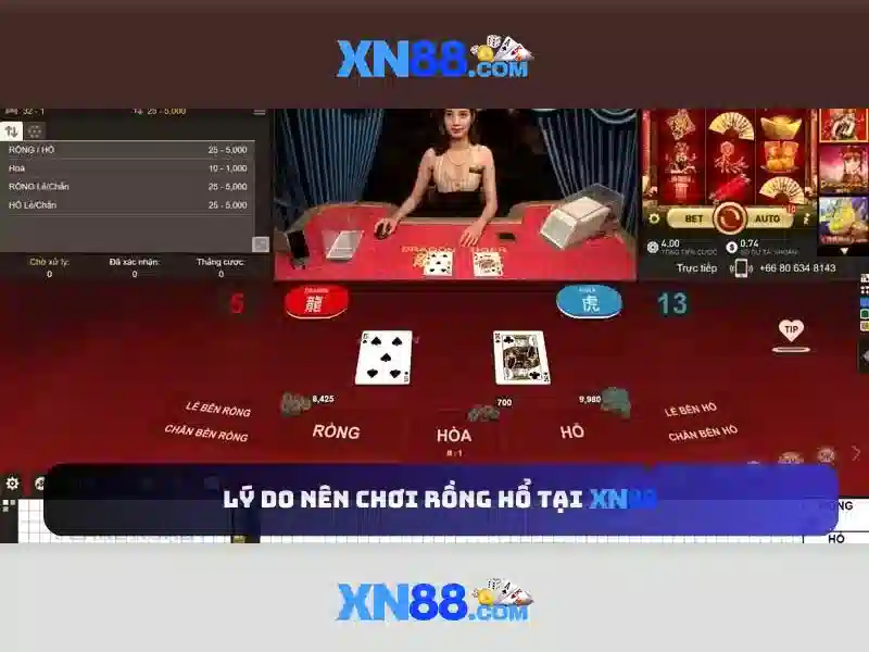 Giao diện và trải nghiệm người dùng