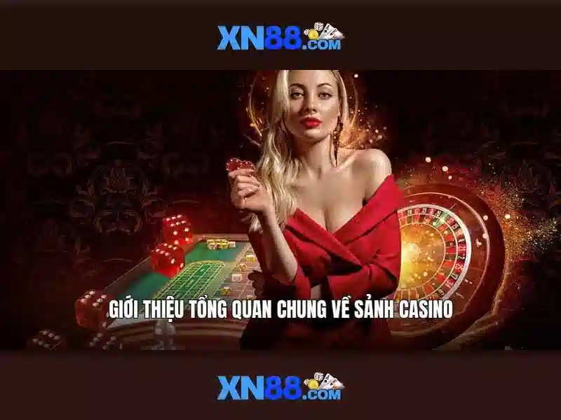 Dòng sản phẩm và dịch vụ chính