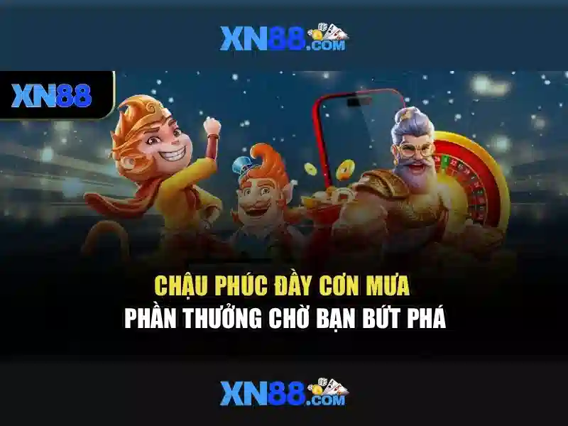 Nền tảng và trải nghiệm người dùng