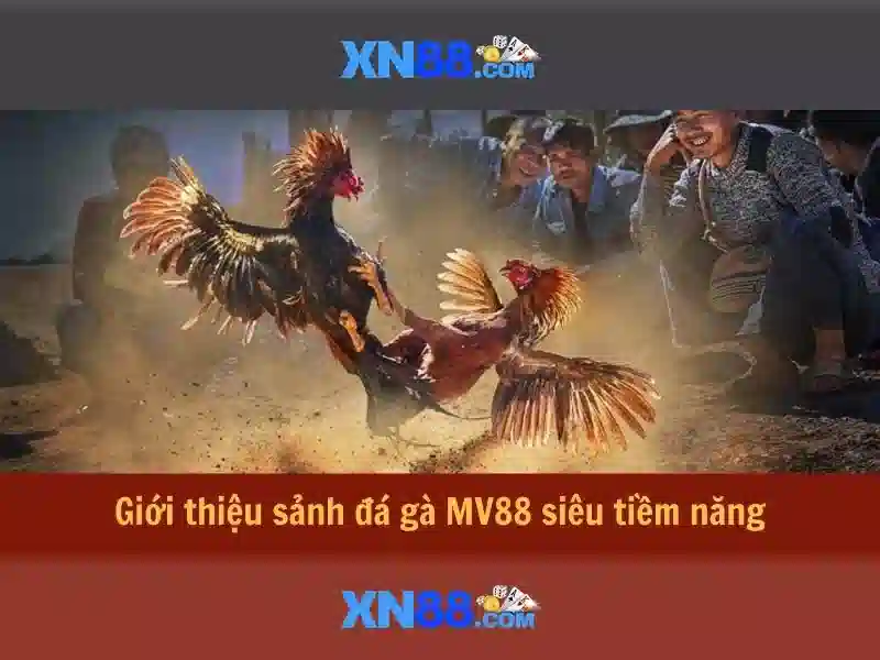 Giao diện và trải nghiệm người dùng