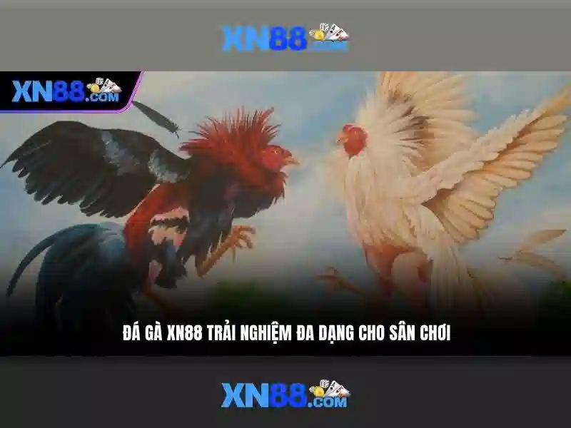 Tính năng chính của xn88