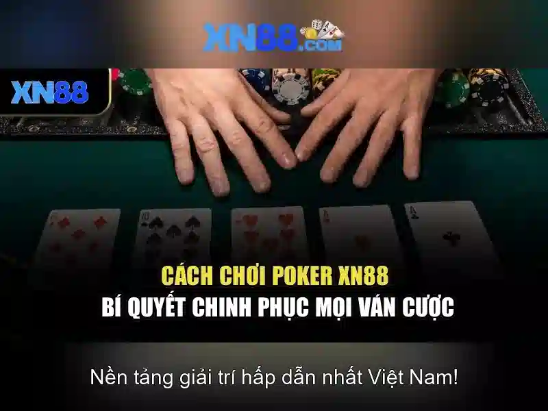 Lịch sử và nguồn gốc của xn88