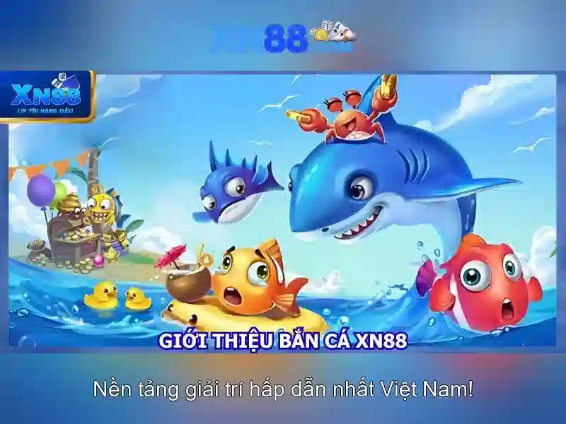 An toàn và trách nhiệm khi tham gia