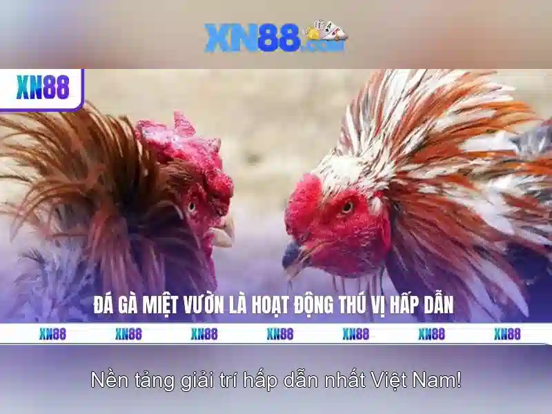 Các tính năng nổi bật\n<p><span style=