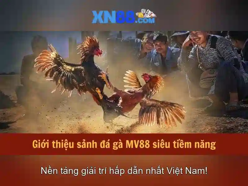 Giới thiệu về xn88\n<h>Đặc điểm nổi bật</h>\n<p><span style=