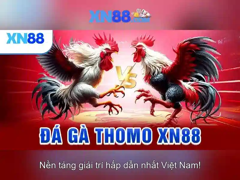 An toàn và trách nhiệm