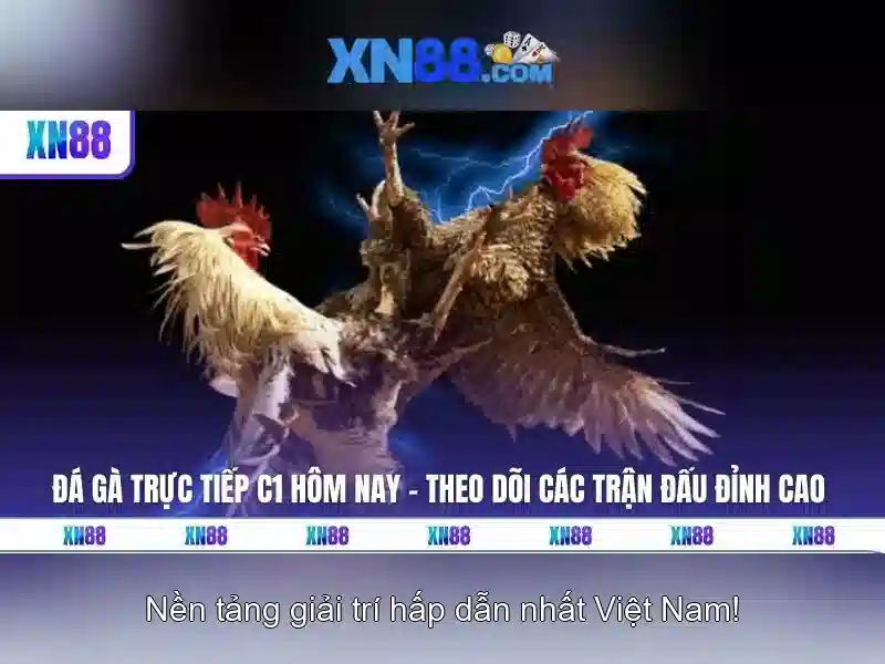 Các tính năng nổi bật