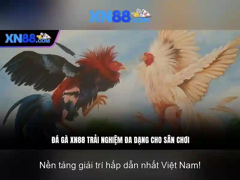 xn88: Nền tảng trực tuyến