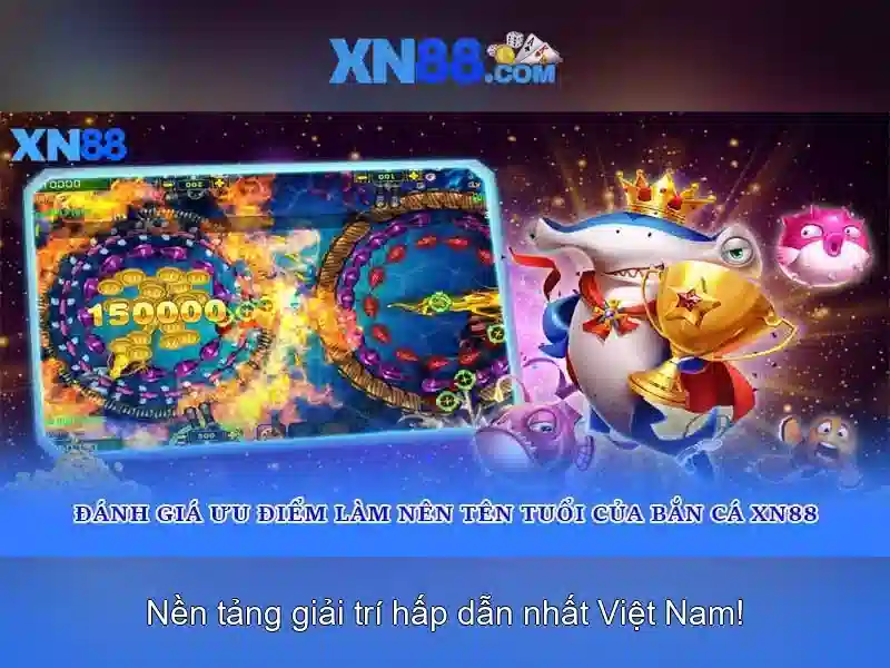 Hỗ trợ người dùng