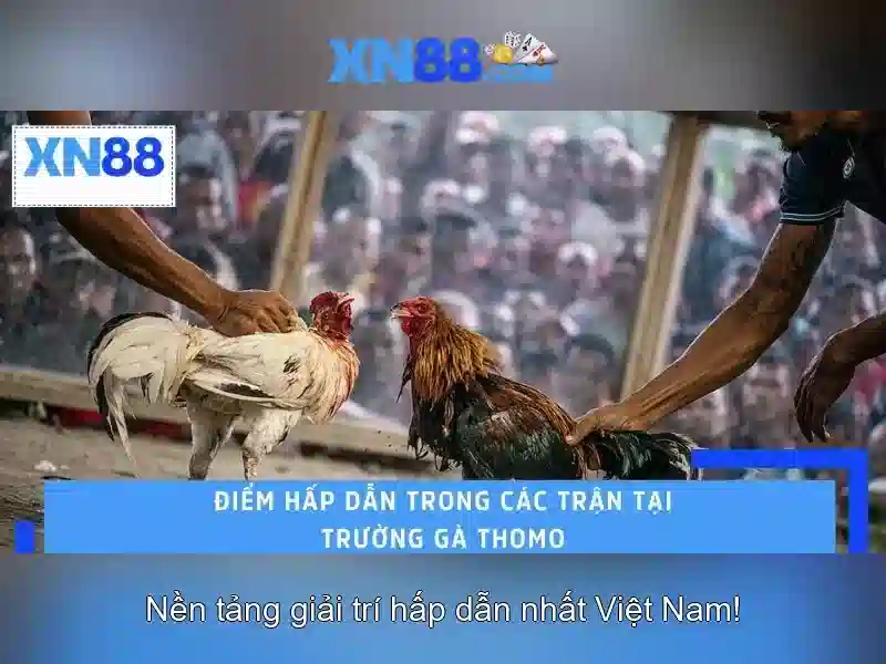 Bull Bull trực tuyến