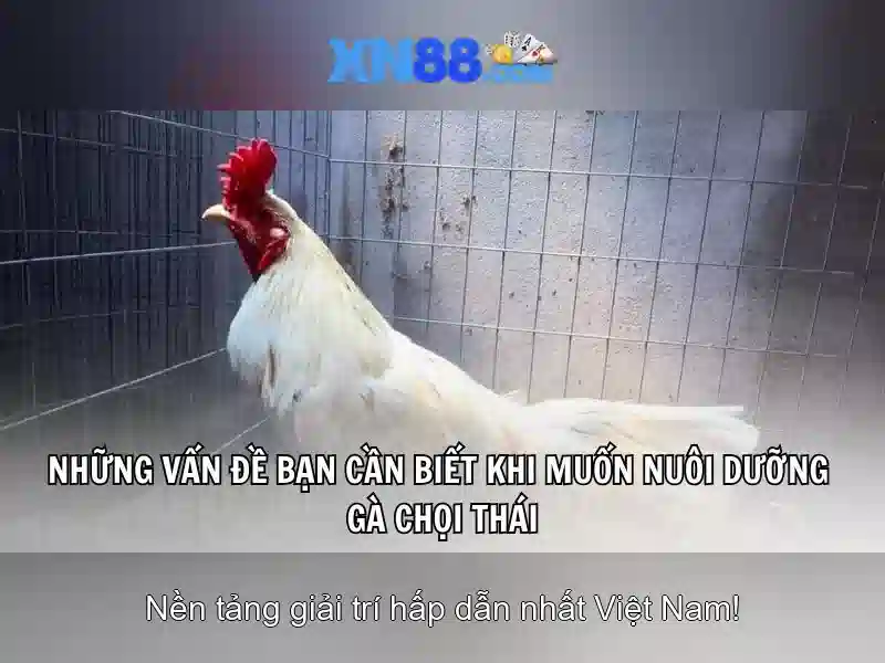 An toàn và trách nhiệm khi tham gia