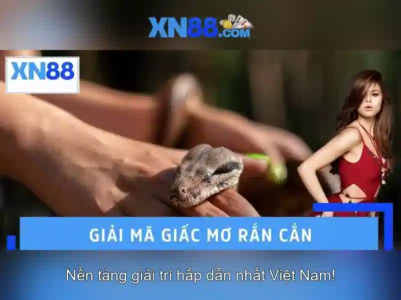 Nền tảng và trải nghiệm người dùng<p><span style=