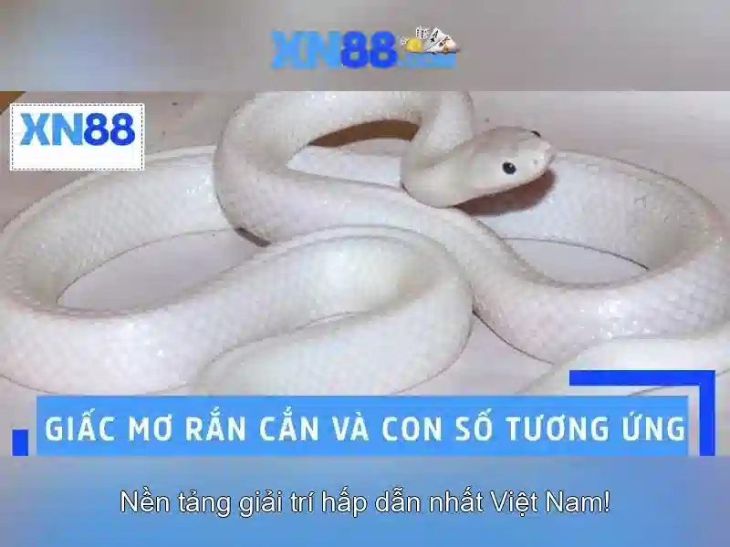 Bull Bull trực tuyến