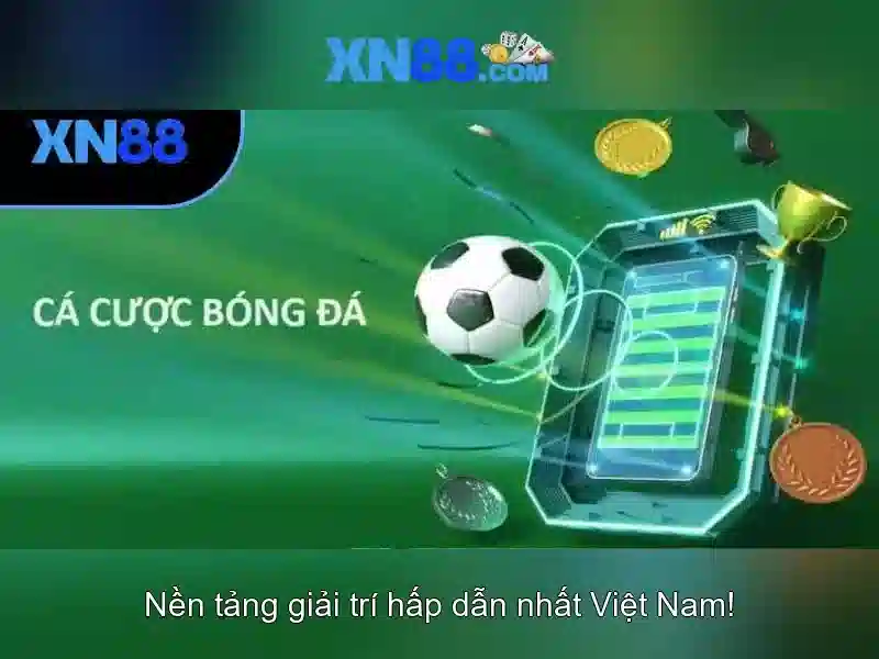 Trải nghiệm người dùng và phản hồi cộng đồng