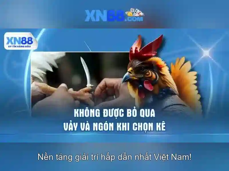 Các phương thức thanh toán và hỗ trợ người chơi<h>Kết luận</h><p><span style=