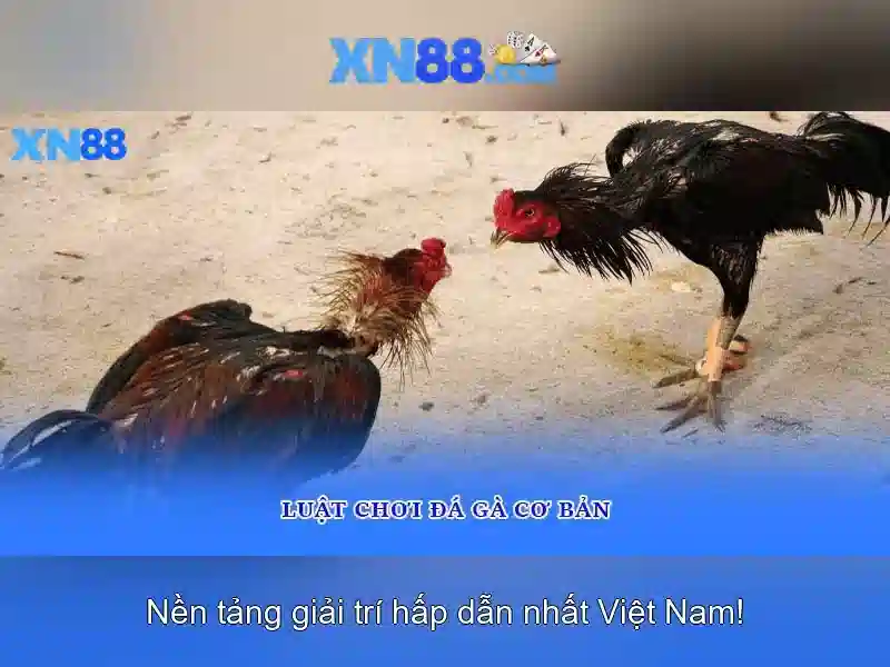 Việt Vị Trong Bóng Đá