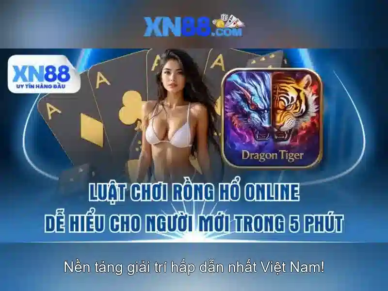 Các dịch vụ chính