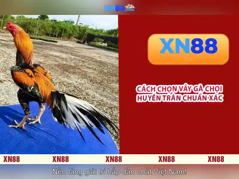 Việt Vị Trong Bóng Đá